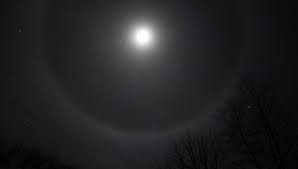 1,118 отметок «нравится», 23 комментариев — serena giuliano (@serena_giuliano_) в instagram: Le P Tit Cours De Breton Le Halo De La Lune