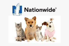 Some policies will pay out when the pet dies, or if the pet is lost or stolen. Nationwide Pet Insurance 2021 Review The Right Choice For You