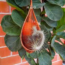 U duay gan garden home has a restaurant, free bikes, a shared lounge and garden in ubon ratchathani. Home And Garden 4u Home Facebook