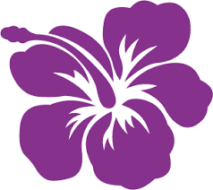 ハイビスカスのwebアイコンイラスト素材画像集 フリー素材 ハイビスカスイラスト画像 naver まとめ stencil designs hibiscus tattoo hawaiian quilts