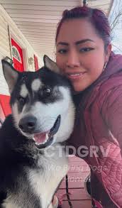 Located in Connecticut ** # **Pretty please share everywhere to help Scout  find a forever home <3**