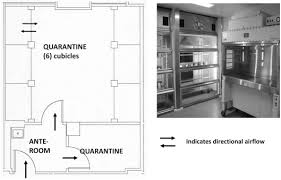 Quarantine An Overview Sciencedirect Topics