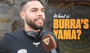 Official AFL Website of the Hawthorn Football Club