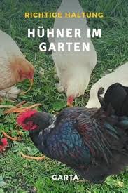 Pin Auf Huhner Im Garten