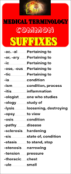 Ajf Y Suffix Medical Terminology Nalan Com Sg