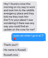 You add so much colour to my life. My Clinic Rescues Wildlife Woke Up To This Text From My Friend Today Made Me Smile Might Make You Smile Album On Imgur