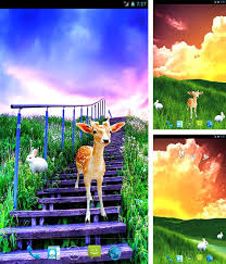 El fondo de pantalla en vivo 3d puede hacer que su teléfono sea más elegante. Grassland Live Wallpaper For Android Grassland Free Download For Tablet And Phone