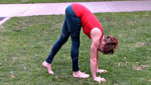 gymnastics strength flexibility and