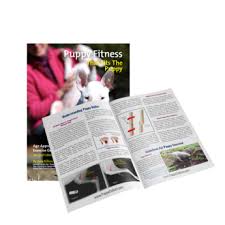 Repeat the activity as above in real. Books Tagged Exercise Chart Puppy Culture