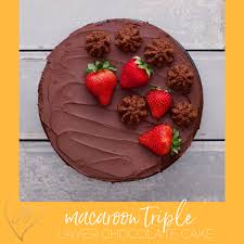 Macaroon Triple Layer Chocolate Cake In 2020 Triple Layer Chocolate Cake Passover Desserts Passover Recipes Dessert