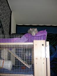 Start date dec 11, 2010. Gorm Rat Cage Ikea Hackers