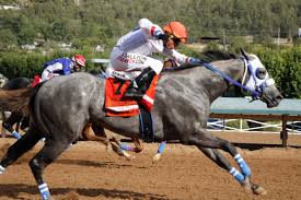 Frame and mat not included. Ruidoso Downs Whistle Stop Cafe Wins Rainbow Futurity