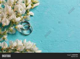 Aqua blue background with transparent horizontal waves. White Acacia Flowers Image Photo Free Trial Bigstock