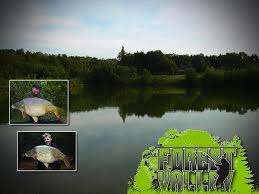 Mark Moes eindwinnaar Pro Line Karper Top 3