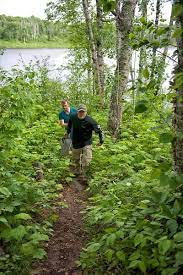 Hatchet Lake Trail Hiking Trail Isle Royale Michigan