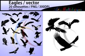 Download 6 Bird Svg Designs Graphics PSD Mockup Templates