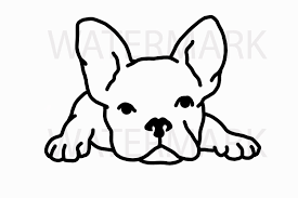 Vector funny french bulldog, puppy cute, pet drawing sketch illustration French Bulldog Waiting Svg Jpghand Drawing 95707 Illustrations Design Bundles