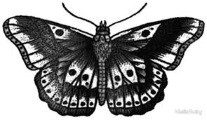 Black And White Harry Styles Butterfly Tattoo Harry Styles Butterfly Tattoo By Niallsruby Harry Styles Butterfly Harry Styles Tattoos Mens Butterfly Tattoo