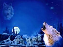 We did not find results for: Anime Wolf Pack Wallpapers Hd Resolution For Laptop Wolf Pack Howling At The Moon 1280x960 Wallpaper Teahub Io