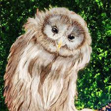 Violet Rowan Ainsley (@AuntieViolet@mastodon.online)