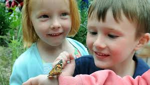 Butterflies lift spirits in Milford