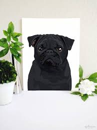 Pin On Pampered Designer Dog