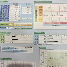 スポーツ用品店で測定の両手両足体組成計測定 ここではアスリートモード 体重51 5の体脂肪率6 6 内臓脂肪レベルが2と低いのが一番 服の分は毎回1kg引いてますが 今回は比較的厚着なので丁度良い 内臓脂肪 脂肪 体脂肪率