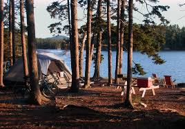 Maine is known for miles of rocky atlantic coastline, tall evergreens, and abundant wildlife such as bear, moose, deer and a › get more: Best Campgrounds In Acadia National Park Travel Guide Traveladvo