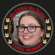 The real cowboy corgis of Texas