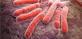 Tuberculosis is generally treatable with. Tuberkulose Bleibt Die Infektiose Todesursache Nummer 1