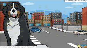Bernese Mountain Dog Clipart Black And White An Excited Bernese Mountain Dog And An Urban Street Background Street Background Bernese Mountain Dog Mountain Dogs