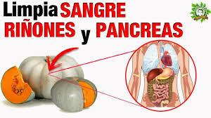 Este Es El Vegetal Que Logra De Un Solo Golpe Limpiar La Sangre Los Rinones La Piel Y El Pancreas Youtube Limpiar Rinones Dieta Para Los Rinones Rinones