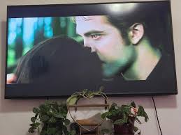 Y'all can't tell me this is any different from the real plot of New Moon