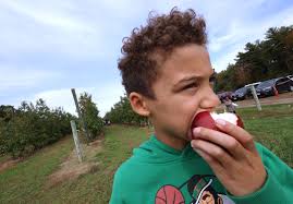 East Bridgewater: Apple-picking season at C.N. Smith Farm
