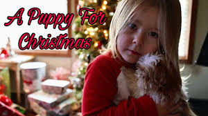 A Puppy Surprise For Christmas