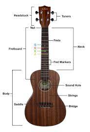 How high should i hang the pictures, i have very large canvases and very small. Parts Of The Ukulele Details And A Diagram Of The Different Parts And Components Of A Ukulele And An Explanation Of The Ukulele Ukulele Music Ukulele Strings
