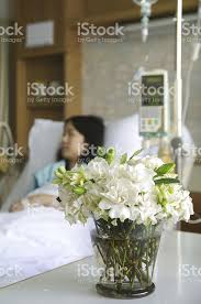 Flowers With Patient In Hospital Bed Royalty Free Stock Photo Room With Plants Hospital Bed Flower Delivery
