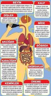 Ne Kadar Kola Tuketiyorsunuz Ve Hangisini Tercih Ediyorsunuz 2020 Saglik Beslenme Saglikli Yasam Tarzi