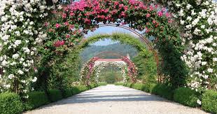 The vrt format can also describe warped vrt and pansharpened vrt. Botanicni Vrt Univerze V Mariboru Pivola Visit Maribor