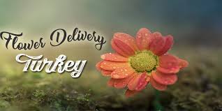 If you're not able to reach it, it might just be your if sendflowers.com is up but it's not working for you, you can try one of the following tips. The 9 Best Options For Flower Delivery In Turkey 2021