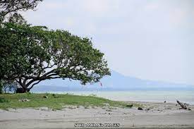 Hal menarik lain dari pantai di jawa timur ini ialah adanya sebuah pertunjukan alam seruling. Pantai Di Pahang Teamtravel My