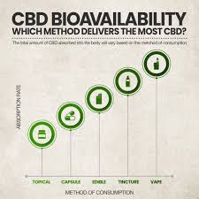 How Much Cbd Oil Should I Take A Beginners Guide To Cbd