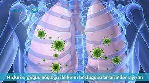 We did not find results for: Hickirik Nedir Nasil Gecer Youtube