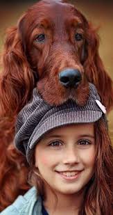 david lumley (southernstormart6)