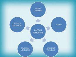 Kaedah meningkatkan kualiti pengumpulan data (penyiasatan industri). Kajian Tindakan Kaedah Pengumpulan Data Kajian Tindakan