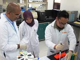 Coconut cream powder, coconut milk, desiccated. Real Time Pcr Course Informm