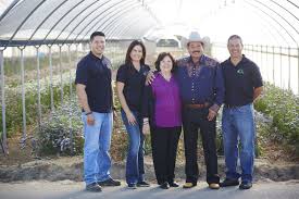 Microsoft ai for good research lab. Meet The Ortiz Family Wonderful People And Amazing Flower Growers From Left To Right Tony Ortiz Julia Ortiz Ca Grown Family Flowers California Location