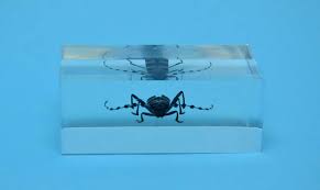 120 x 180 x 45 mm. Basteln Mit Kunstharz Anleitung Tipps Tricks Einbetten In Giessharz