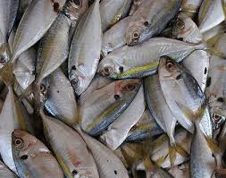 Ia tidak membutuhkan wadah khusus. Resepi Ikan Senangin Untuk Ibu Berpantang