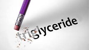 Triglyceride Onmeda De